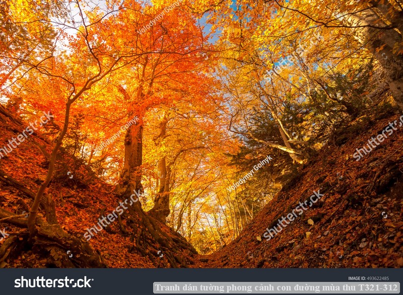 Tranh dán tường phong cảnh con đường mùa thu T321-312